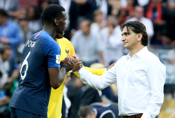 都促使他们 都促使他们